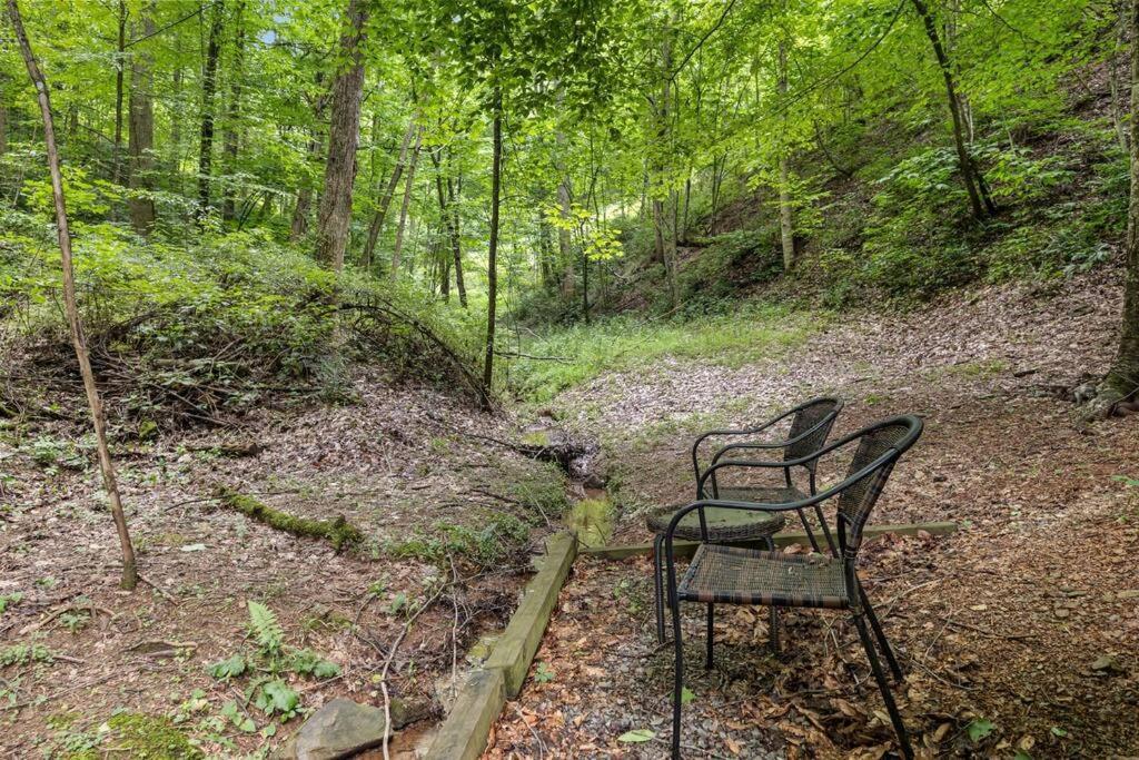 Hidden Joy Cartertown